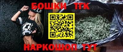 тгк Новодвинск