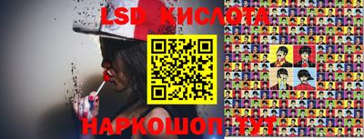 тгк Новодвинск