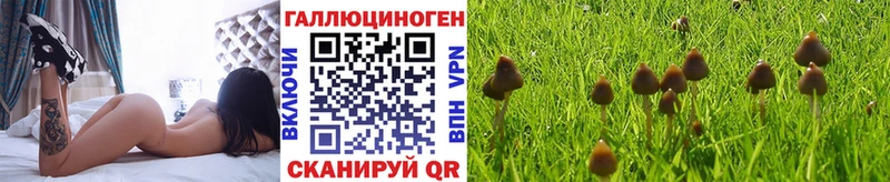 omg зеркало  сколько стоит  Солнечногорск  Псилоцибиновые грибы Psilocybine cubensis 