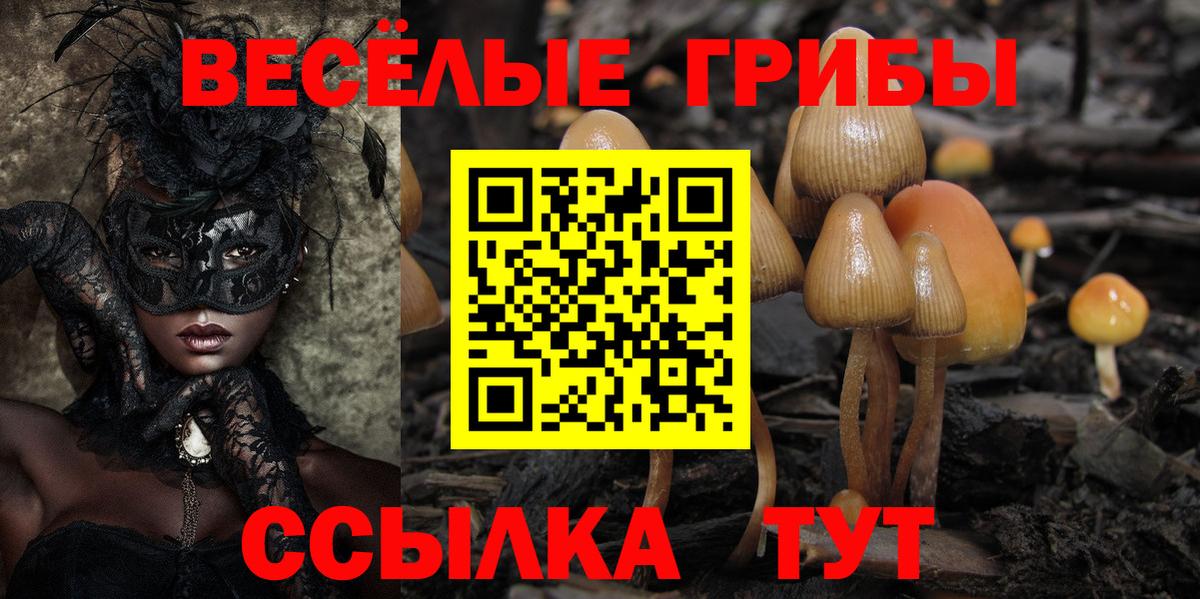 Солнечногорск  Псилоцибиновые грибы ЛСД  Вход с VPN 