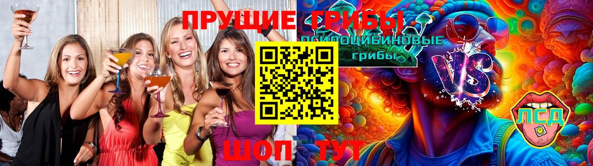 Псилоцибиновые грибы Psilocybe Солнечногорск